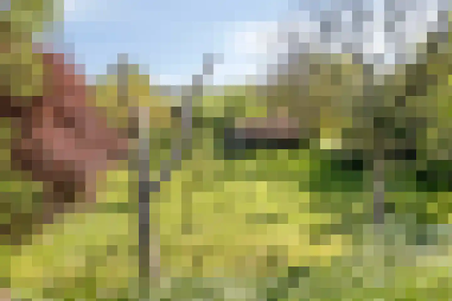 Groenestraat 2 Hurwenen thumbnail 68
