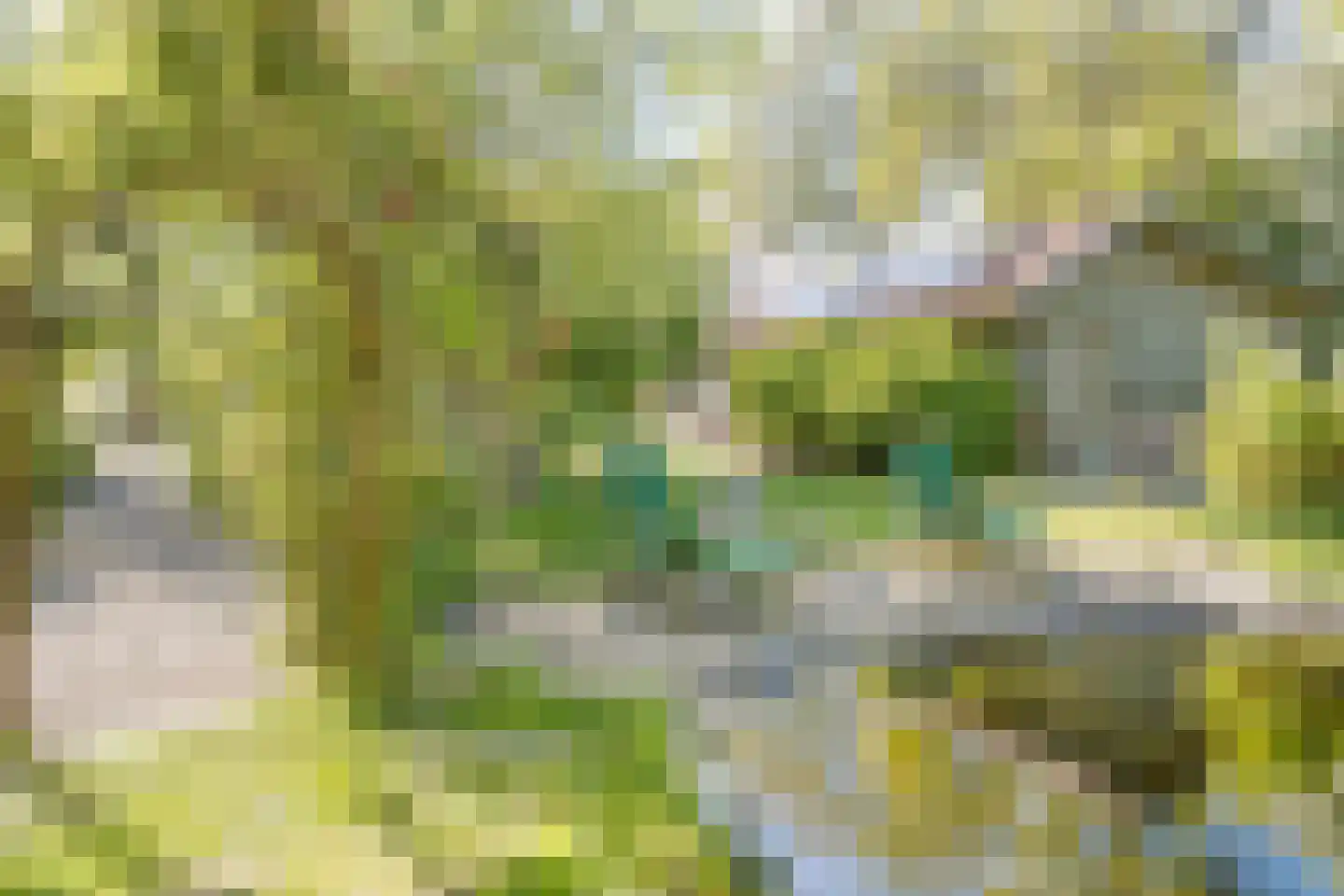 Groenestraat 2 Hurwenen thumbnail 69