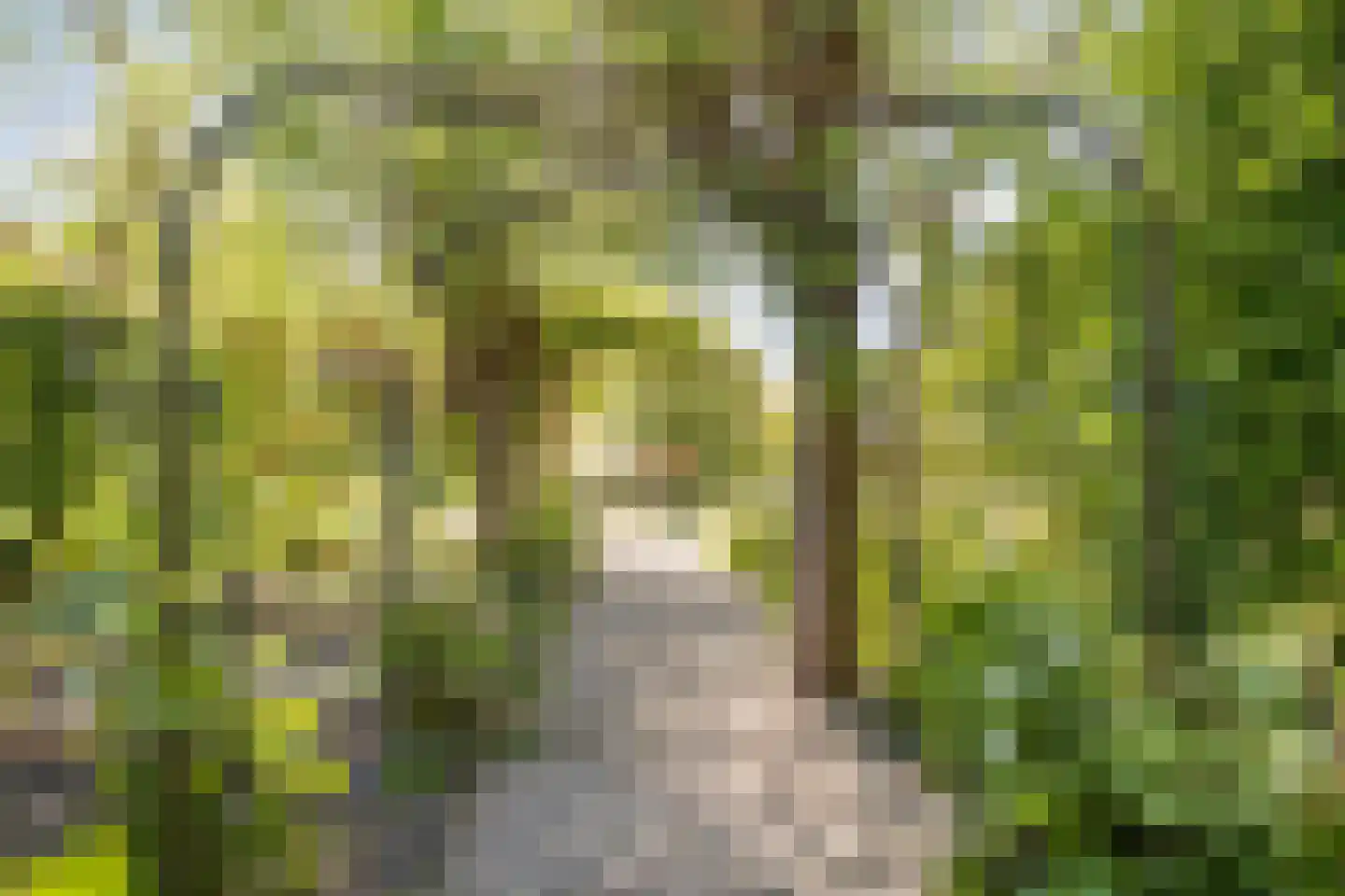 Groenestraat 2 Hurwenen thumbnail 71
