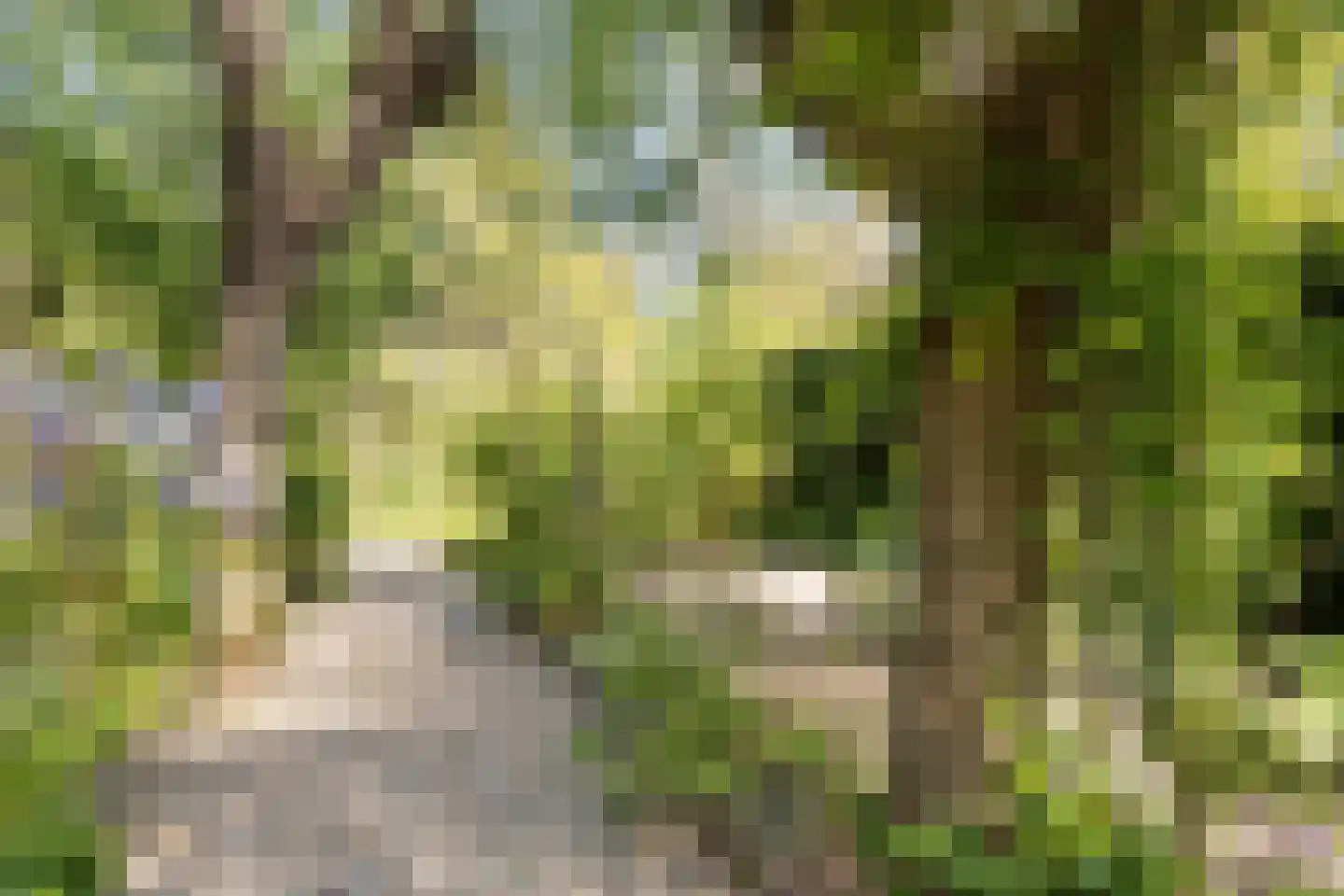 Groenestraat 2 Hurwenen thumbnail 72