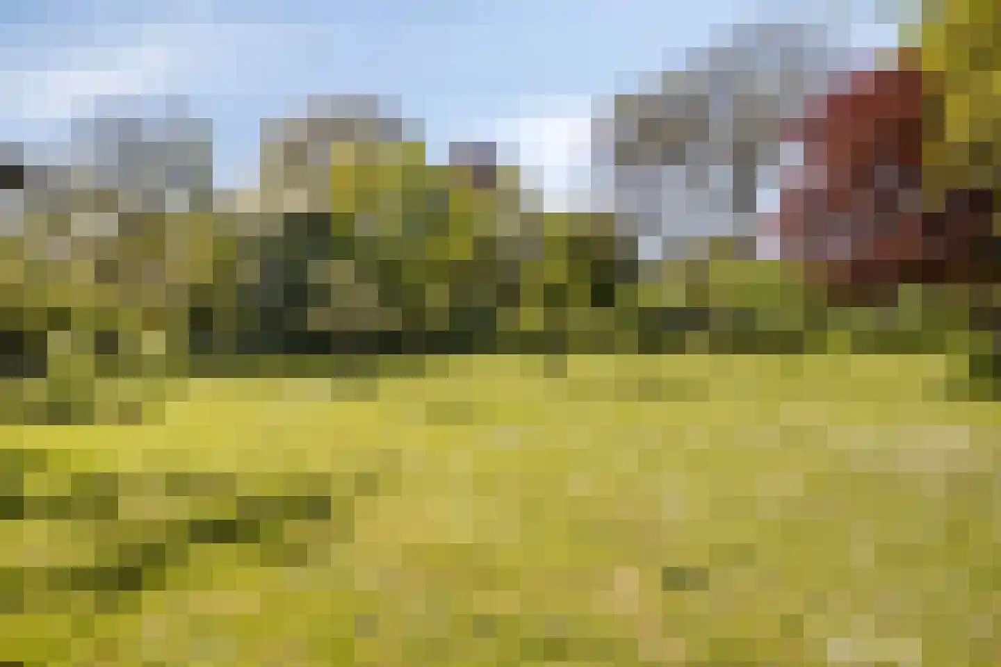 Groenestraat 2 Hurwenen thumbnail 76