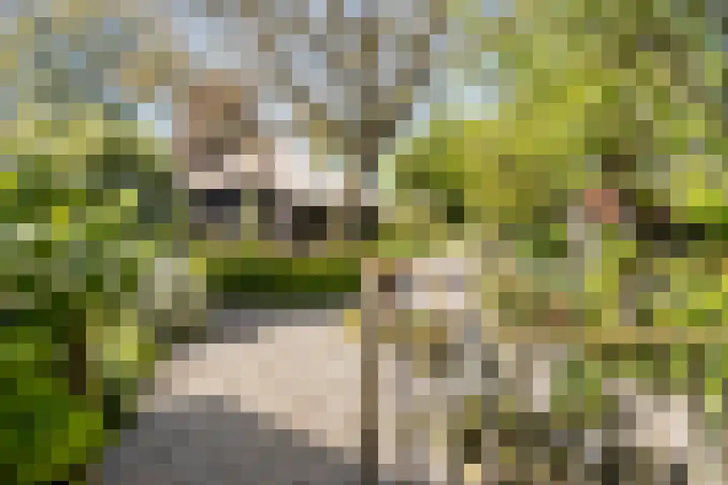 Groenestraat 2 Hurwenen thumbnail 77