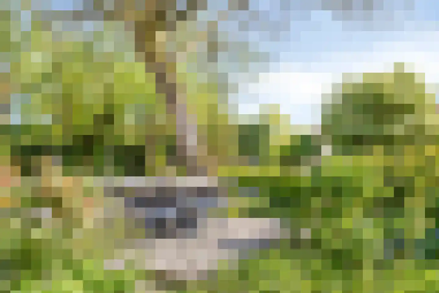 Groenestraat 2 Hurwenen thumbnail 78