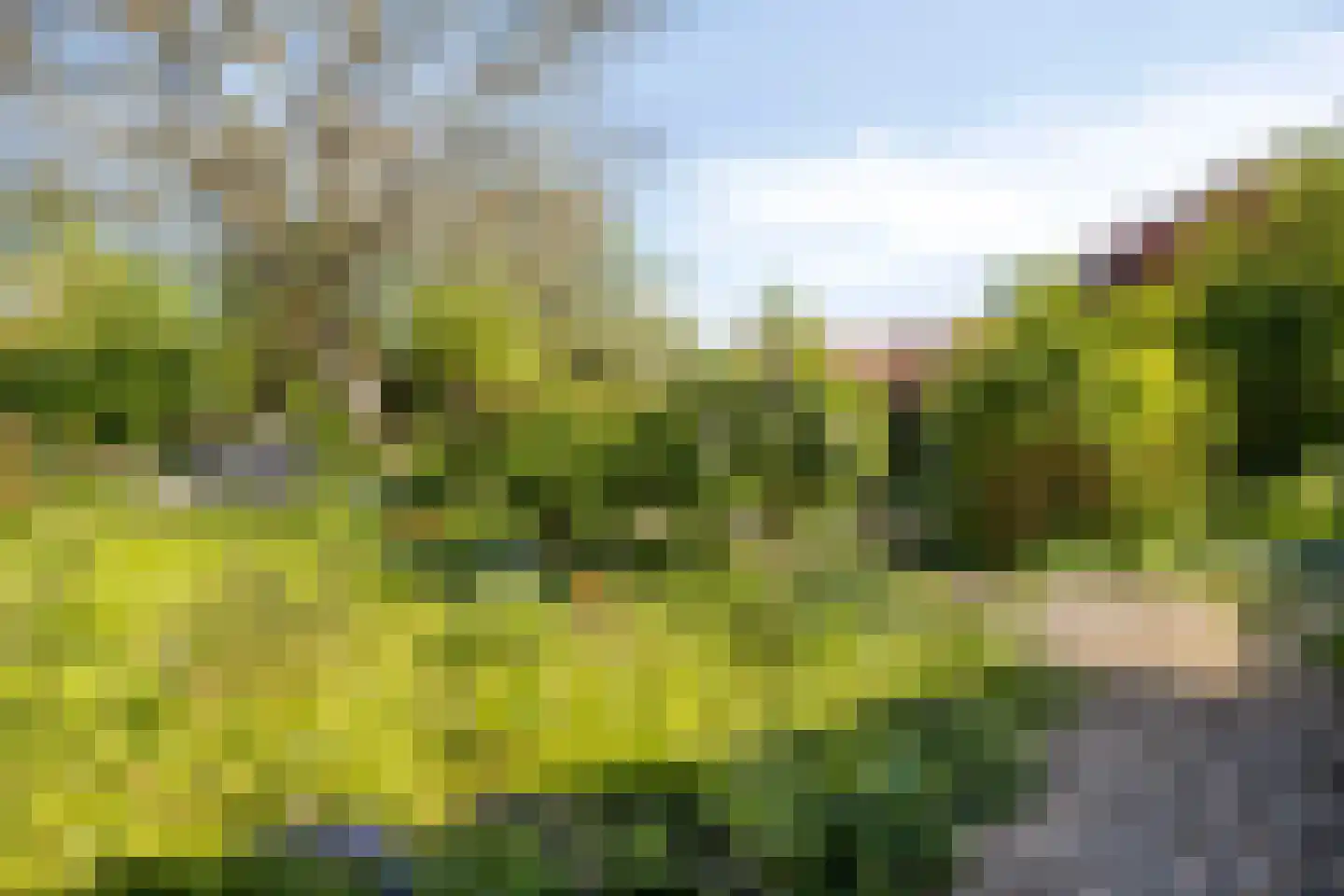 Groenestraat 2 Hurwenen thumbnail 87