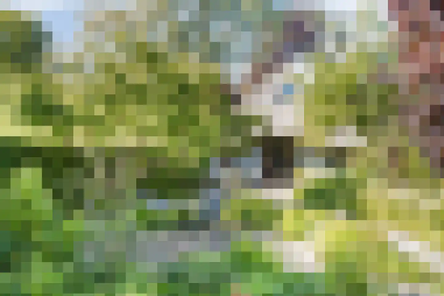 Groenestraat 2 Hurwenen thumbnail 89