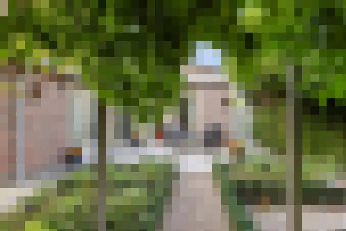 Groenestraat 2 Pannerden thumbnail 24