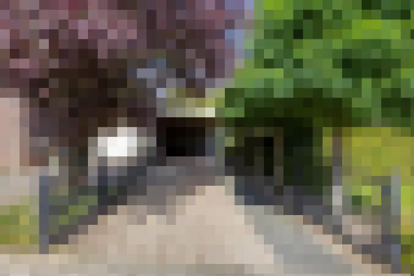 Groenestraat 2 Pannerden thumbnail 33