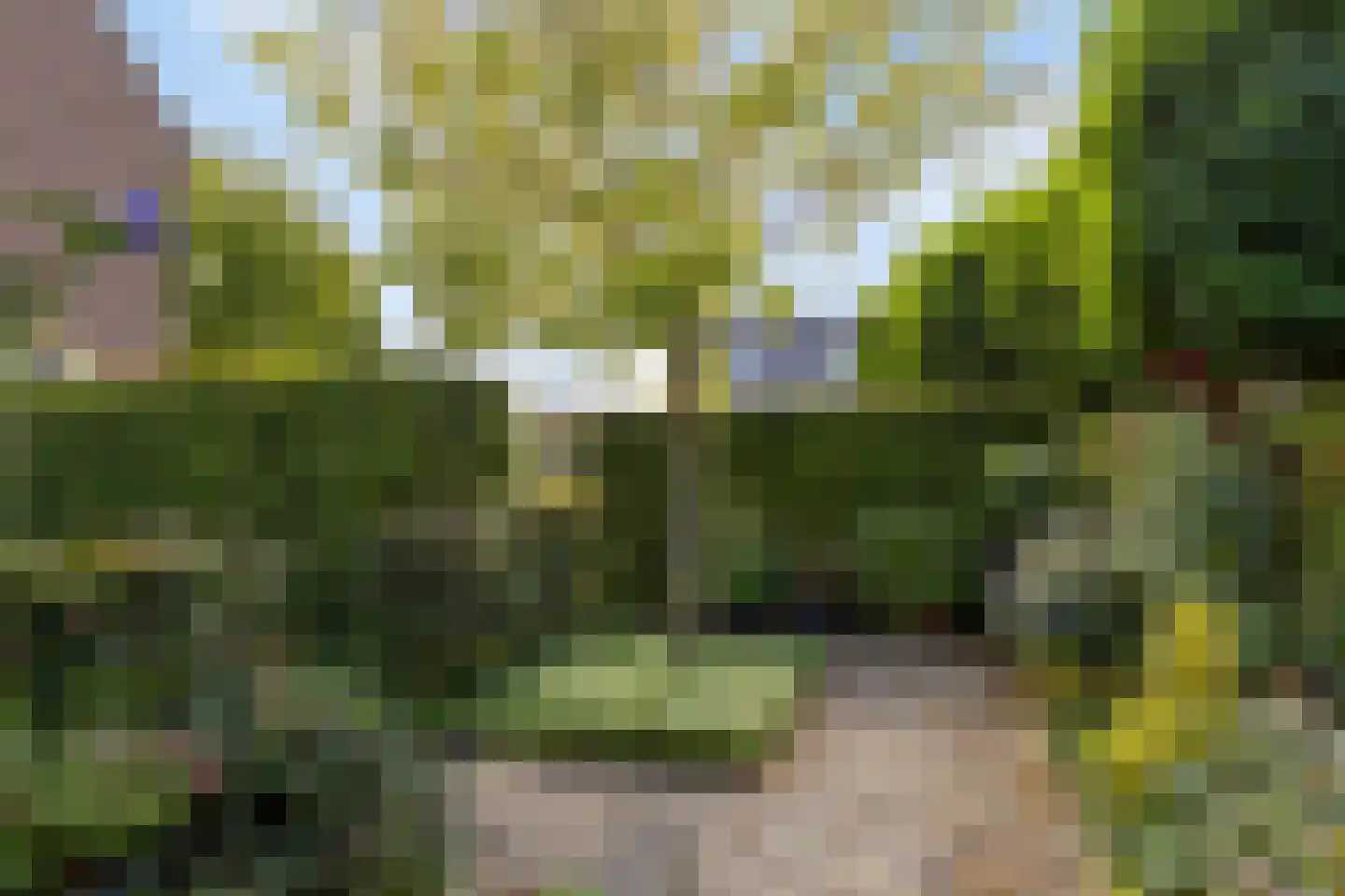 Groenestraat 2 Pannerden thumbnail 34