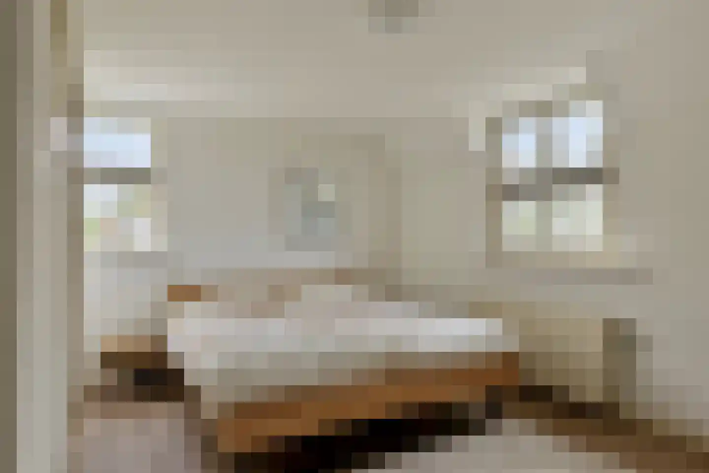 Groenestraat 2 Pannerden thumbnail 36