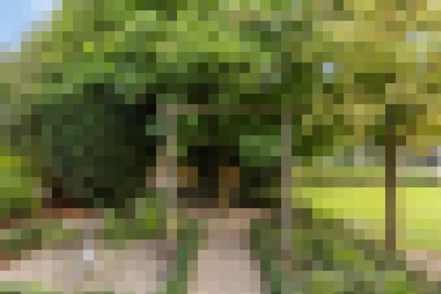 Groenestraat 2 Pannerden thumbnail 46