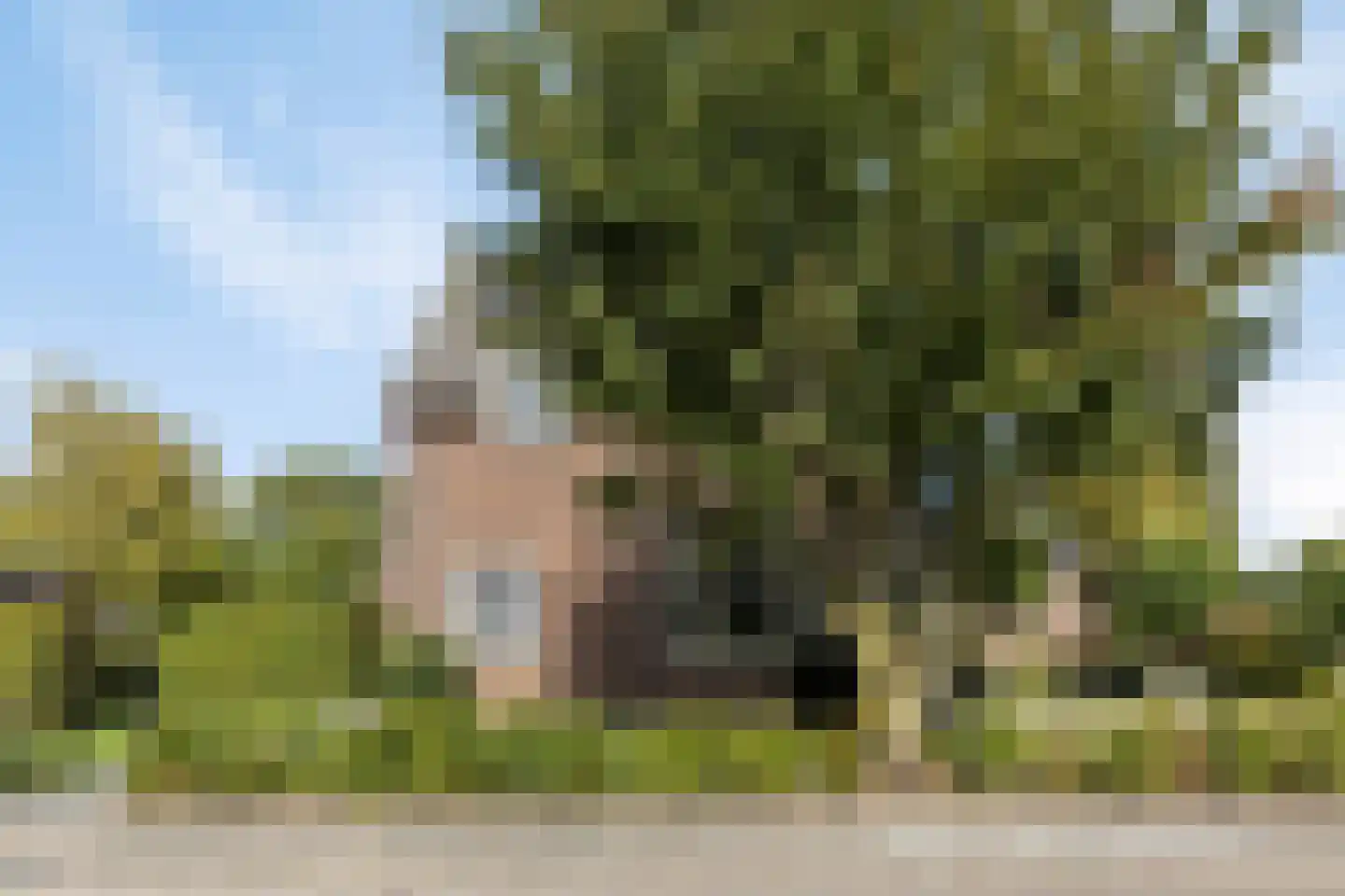 Groenestraat 2 Pannerden thumbnail 6
