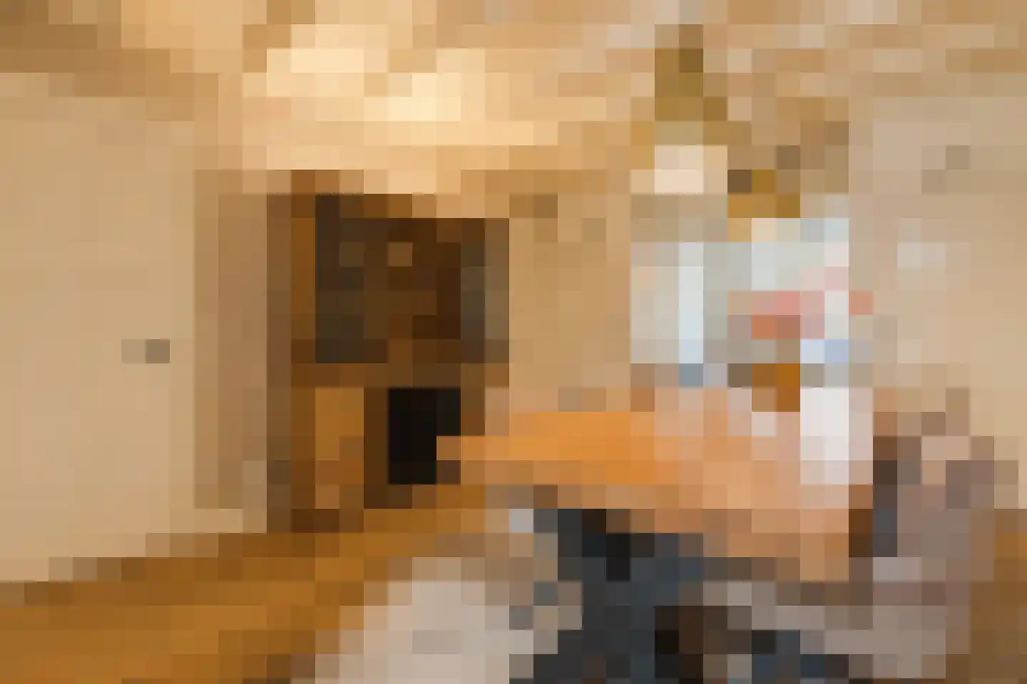 Groenestraat 203 A Nijmegen thumbnail 16