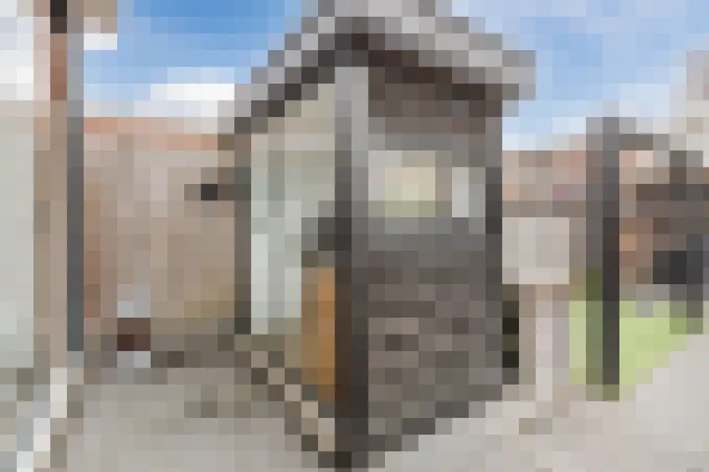 Groenestraat 203 A Nijmegen thumbnail 52