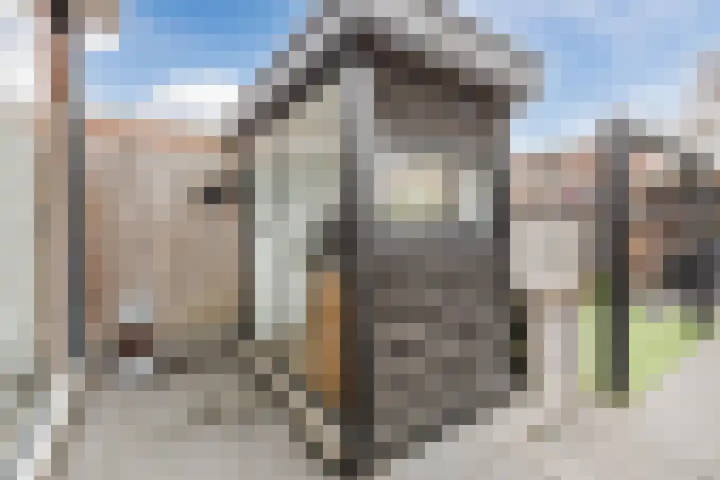 Groenestraat 203 A Nijmegen thumbnail 52