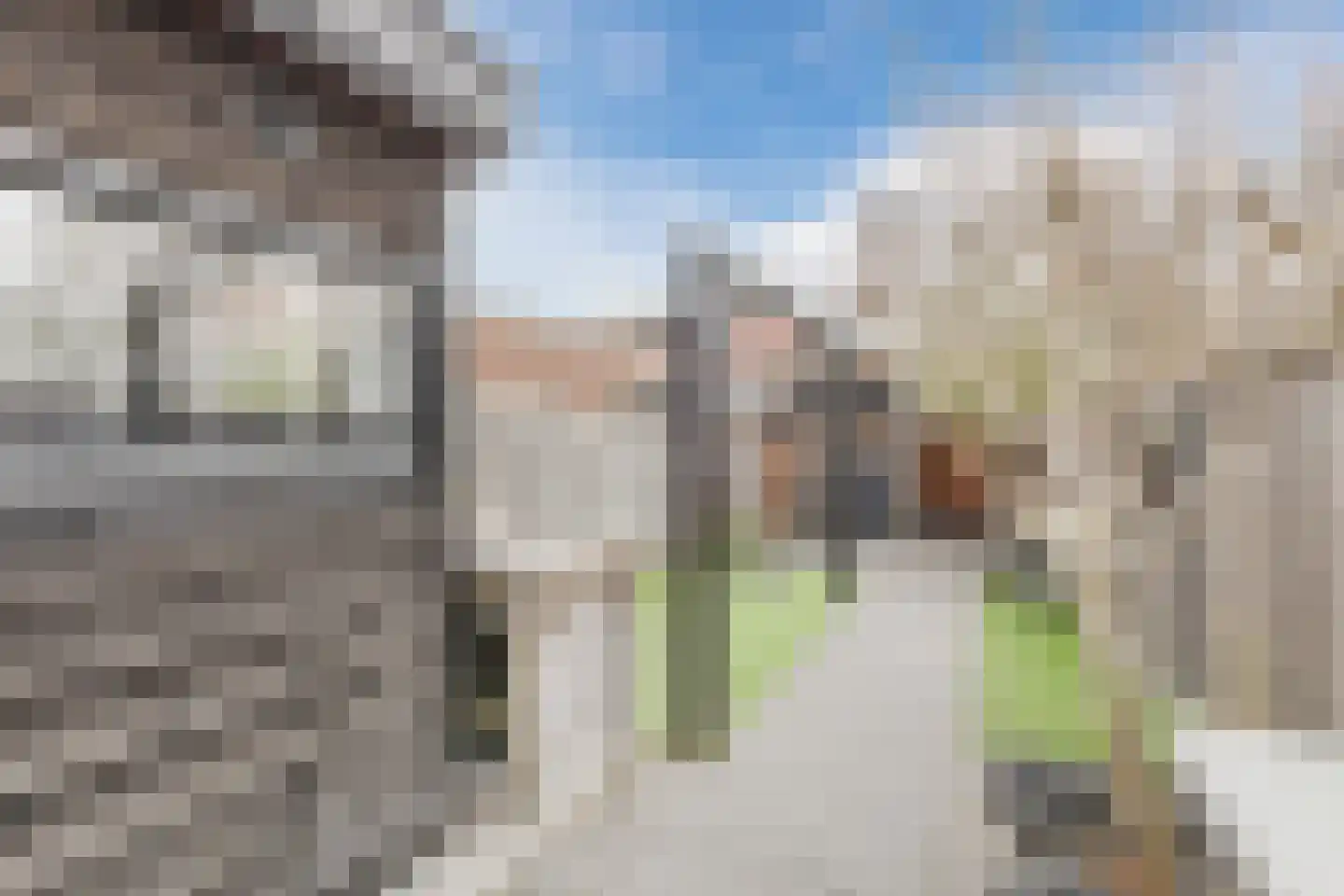 Groenestraat 203 A Nijmegen thumbnail 55