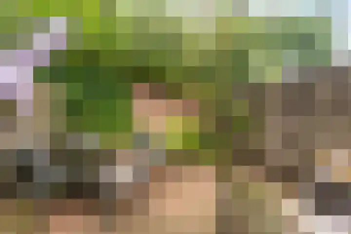 Groenestraat 21 Nijkerk thumbnail 27