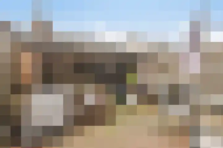 Groenestraat 21 Nijkerk thumbnail 28