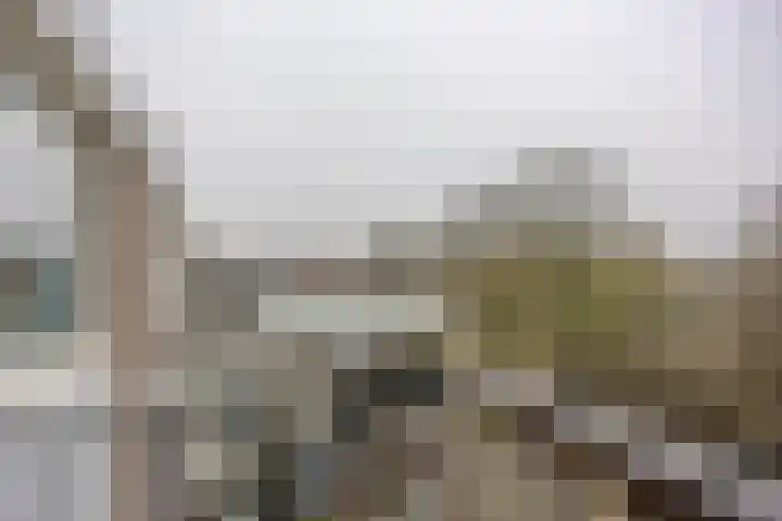 Groenestraat 217 V Nijmegen thumbnail 18
