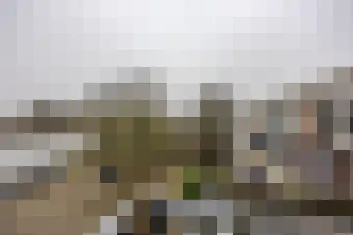 Groenestraat 217 V Nijmegen thumbnail 19