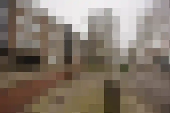 Groenestraat 217 V Nijmegen thumbnail 26