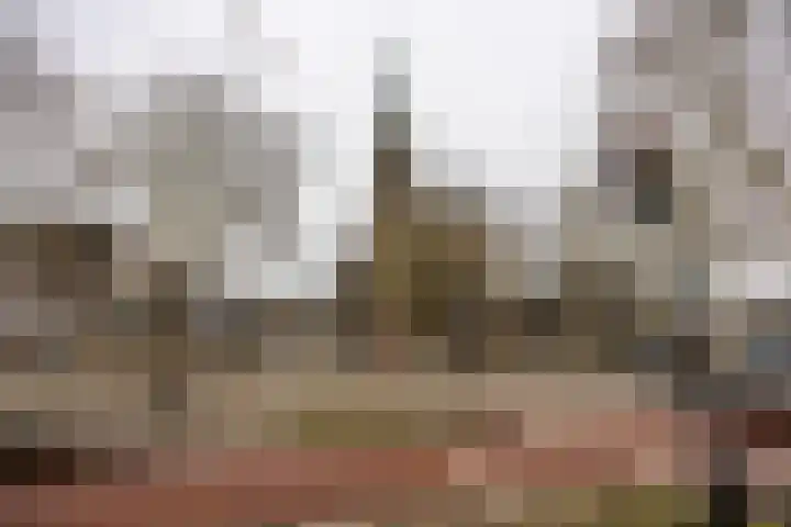 Groenestraat 217 V Nijmegen thumbnail 29