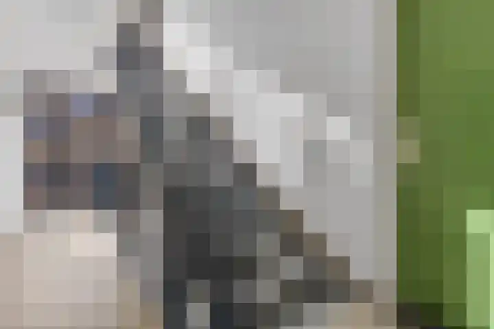 Groenestraat 219 B Nijmegen thumbnail 22