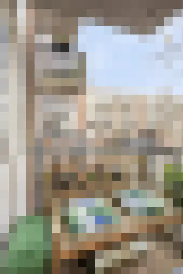 Groenestraat 219 H Nijmegen thumbnail 5