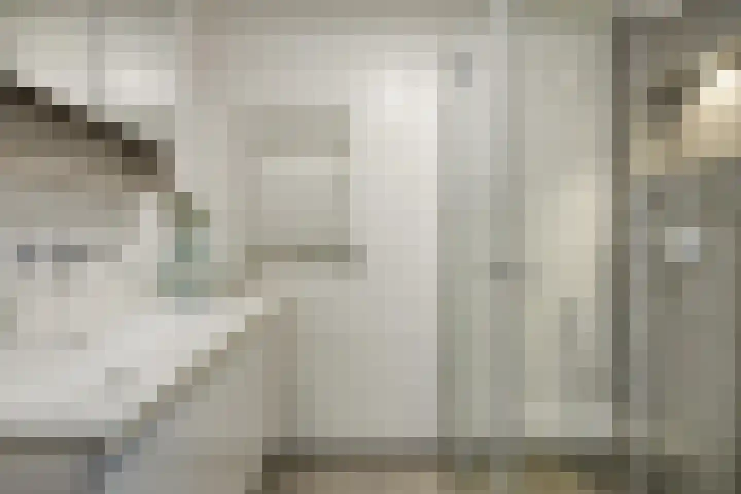 Groenestraat 228 Kampen thumbnail 20