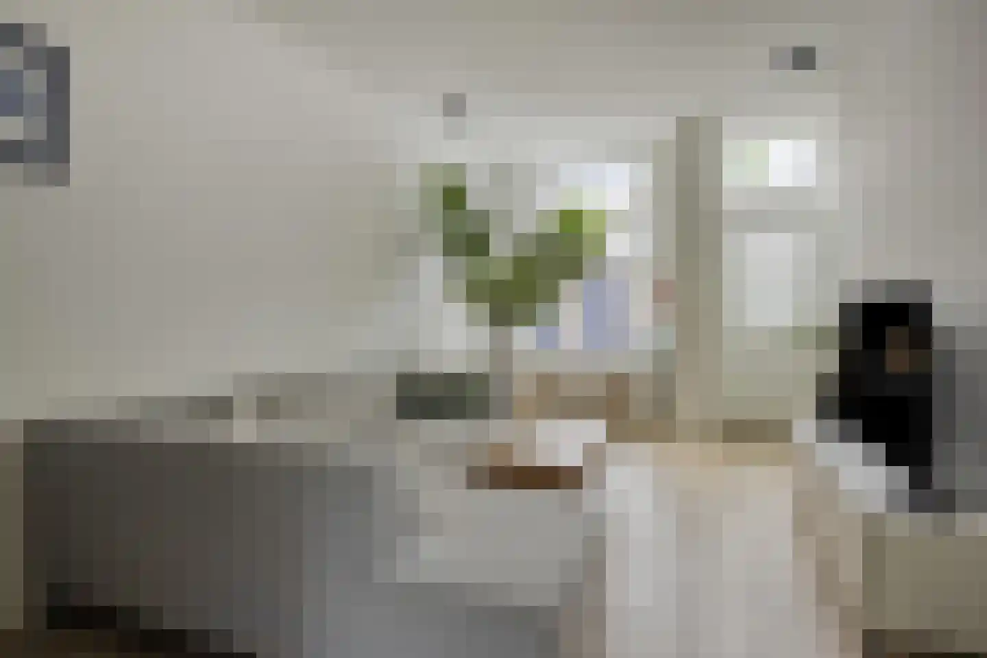 Groenestraat 228 Kampen thumbnail 4