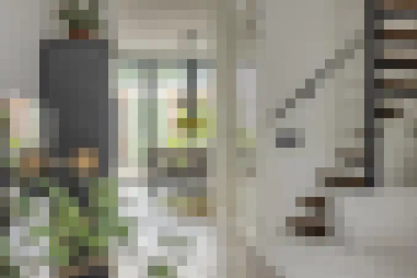 Groenestraat 228 Kampen thumbnail 8