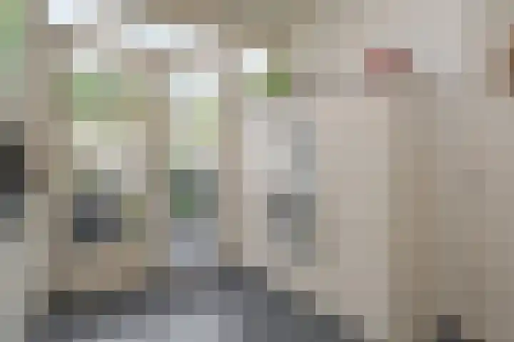 Groenestraat 23 Zwolle thumbnail 20