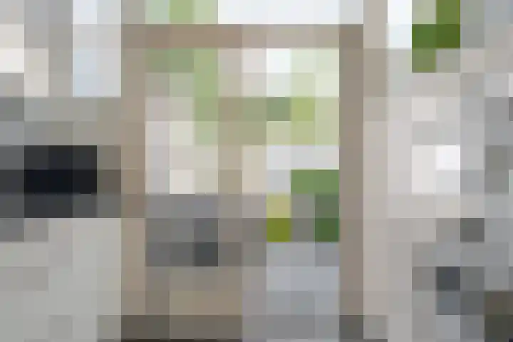 Groenestraat 23 Zwolle thumbnail 23