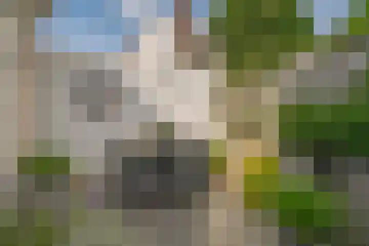 Groenestraat 23 Zwolle thumbnail 25