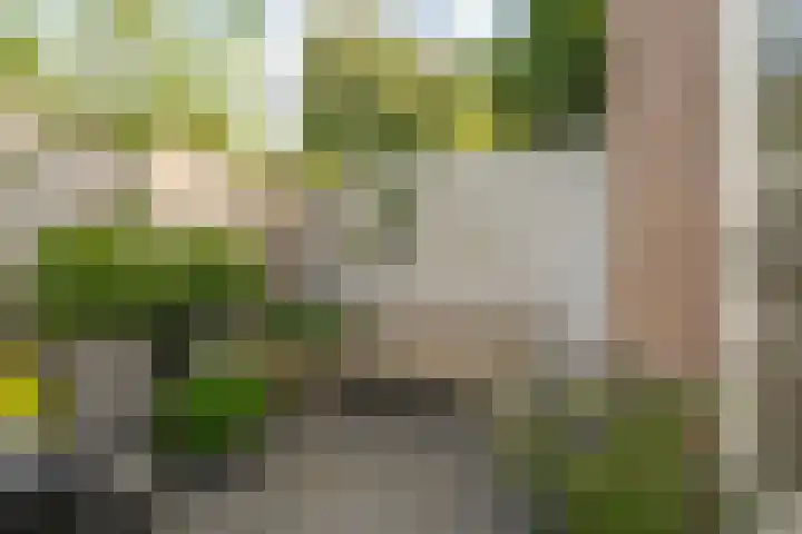 Groenestraat 23 Zwolle thumbnail 26