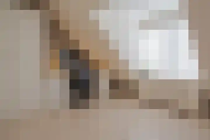 Groenestraat 23 Zwolle thumbnail 35