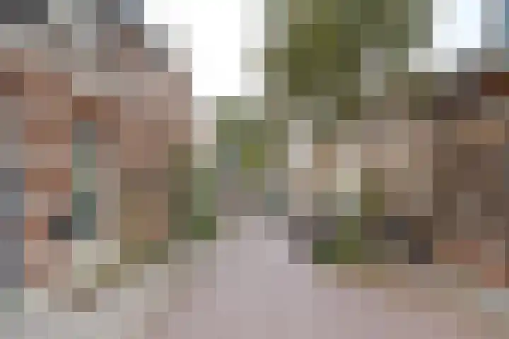 Groenestraat 23 Zwolle thumbnail 38