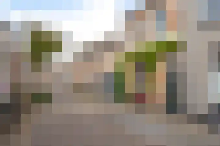 Groenestraat 23 Zwolle thumbnail 5