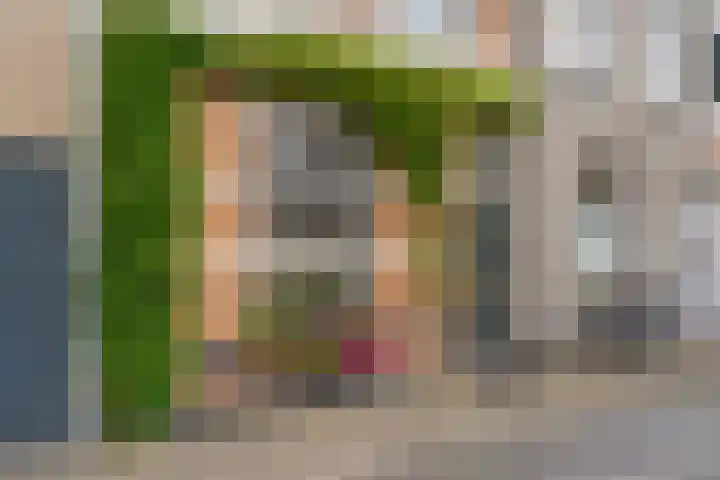 Groenestraat 23 Zwolle thumbnail 7