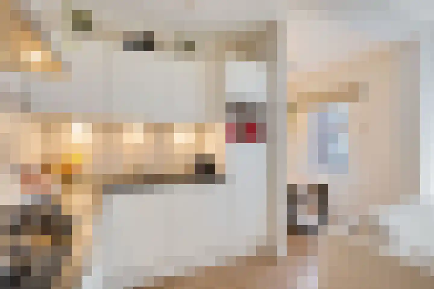 Groenestraat 25 BS Utrecht thumbnail 18