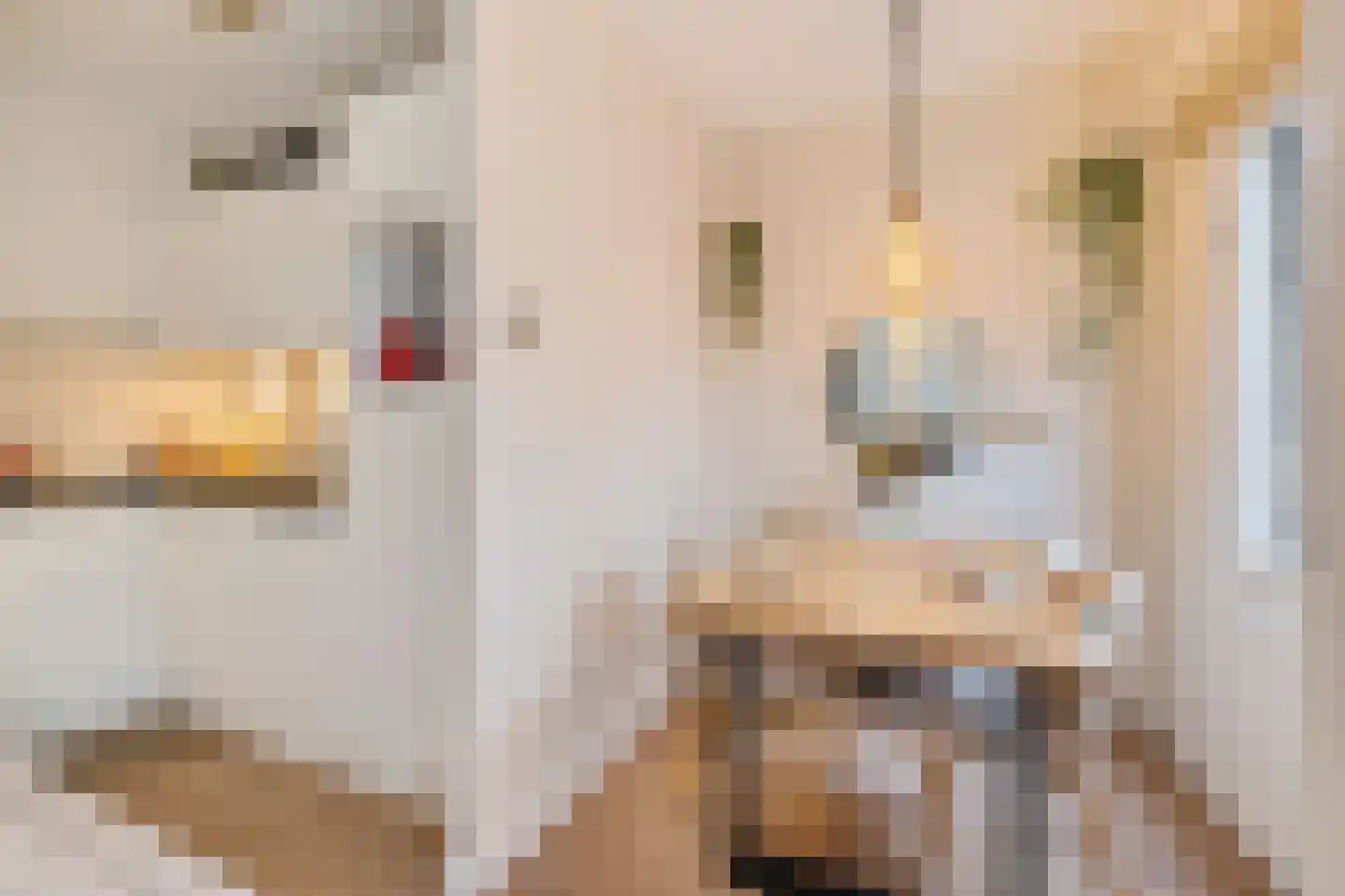 Groenestraat 25 BS Utrecht thumbnail 20