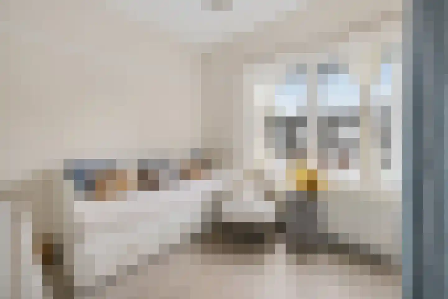 Groenestraat 25 BS Utrecht thumbnail 27