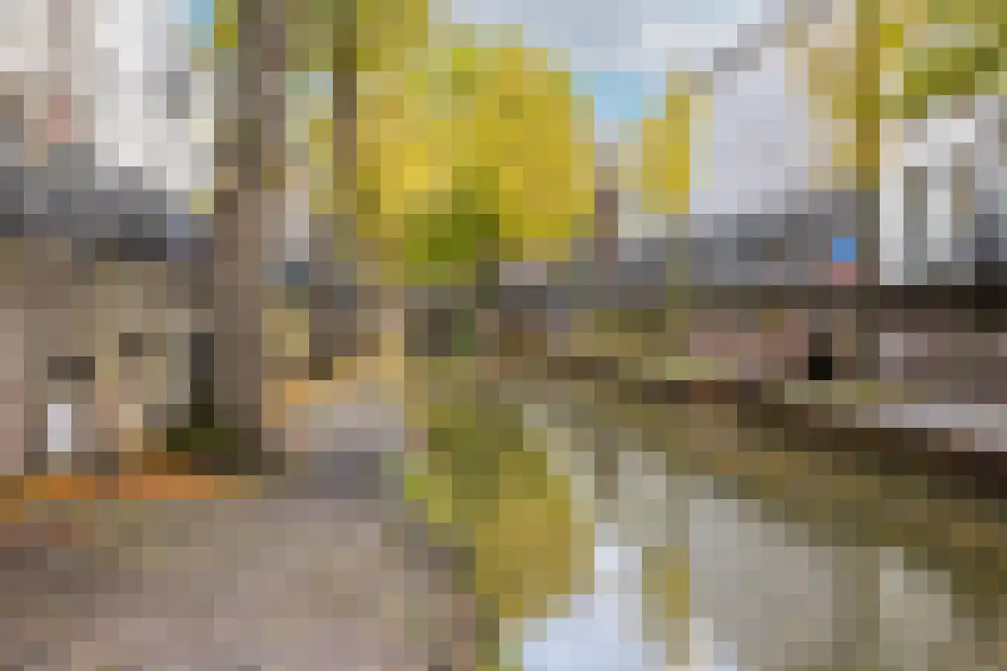 Groenestraat 25 BS Utrecht thumbnail 37