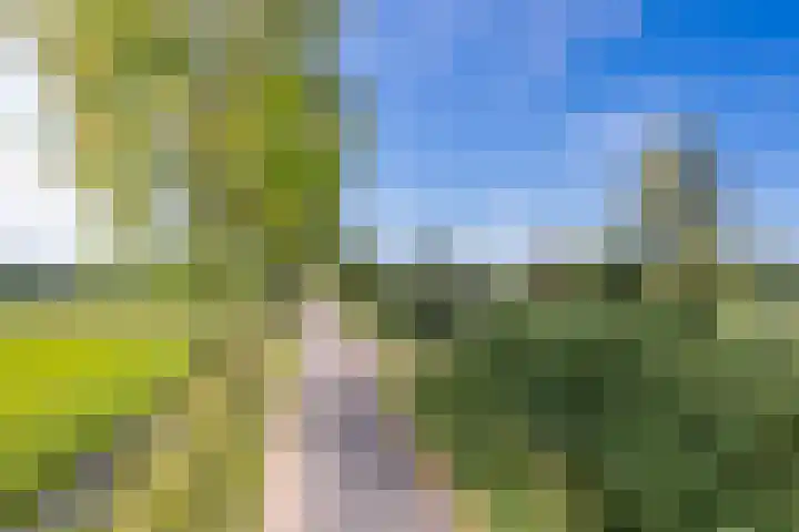 Groenestraat 28 Lienden thumbnail 12