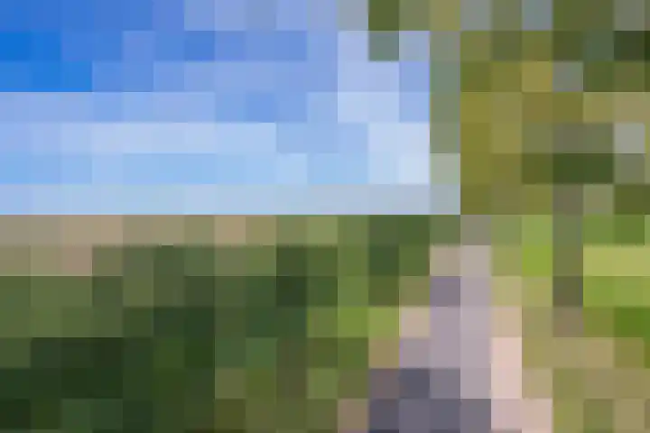Groenestraat 28 Lienden thumbnail 13