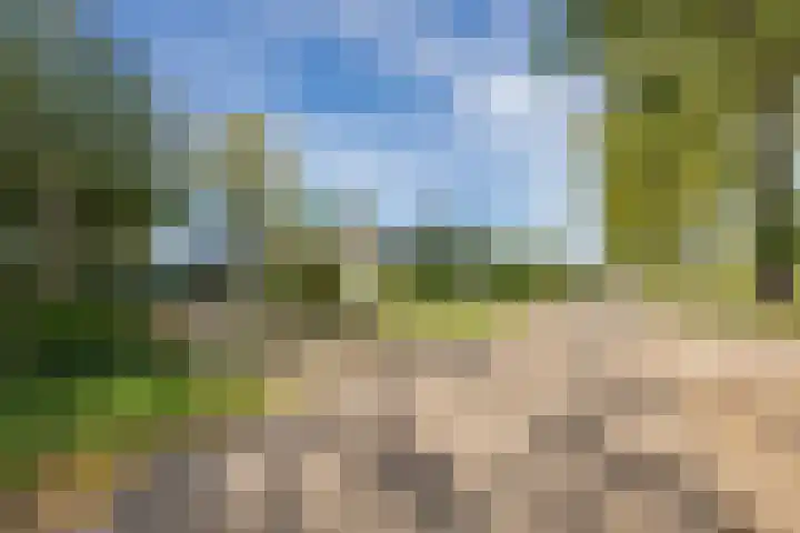 Groenestraat 28 Lienden thumbnail 15