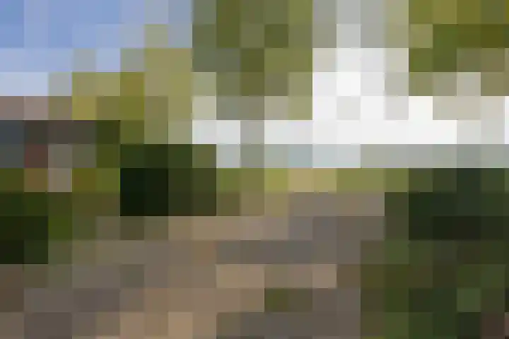 Groenestraat 28 Lienden thumbnail 20
