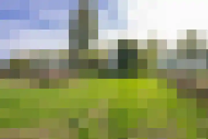 Groenestraat 28 Lienden thumbnail 24