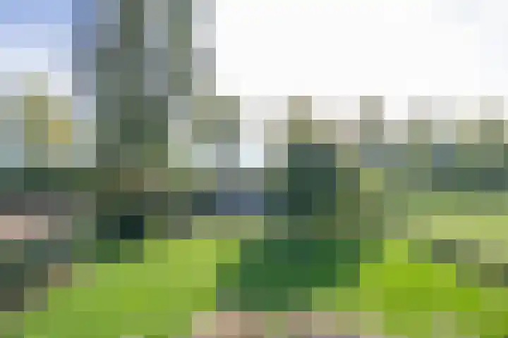 Groenestraat 28 Lienden thumbnail 26