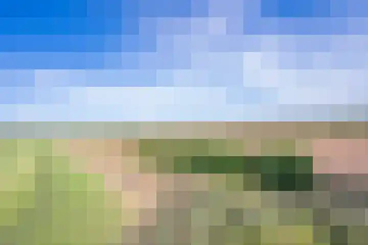 Groenestraat 28 Lienden thumbnail 27