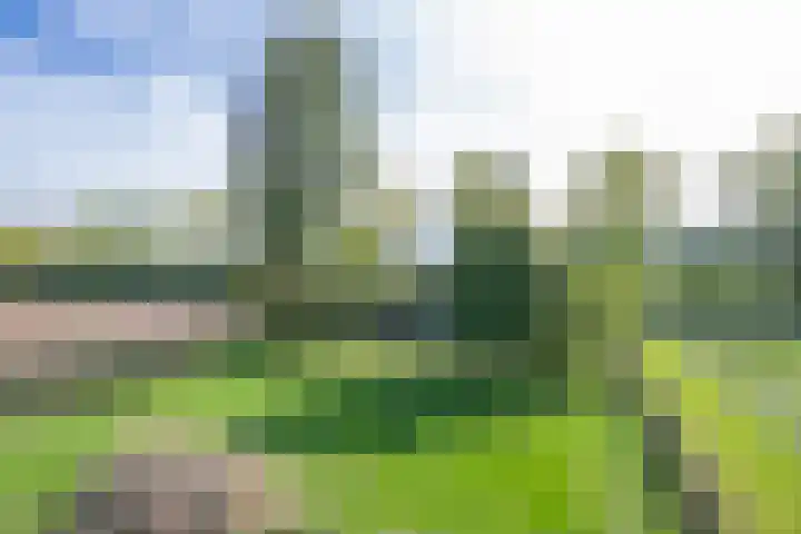 Groenestraat 28 Lienden thumbnail 28